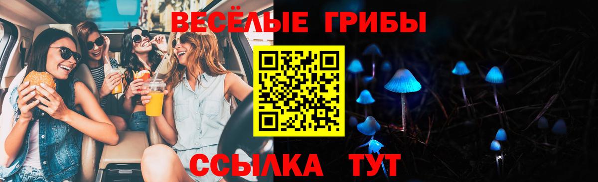 Галлюциногенные грибы прущие грибы Баксан